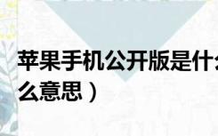 苹果手机公开版是什么意思（手机公开版是什么意思）