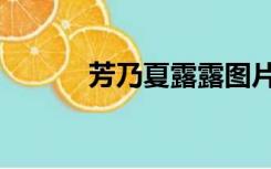 芳乃夏露露图片（芳乃夏露露）