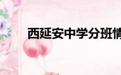 西延安中学分班情况（西延安中学）