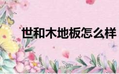 世和木地板怎么样（世海地板怎么样）