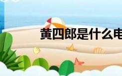 黄四郎是什么电视剧（黄四郎）