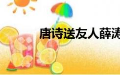 唐诗送友人薛涛（送友人薛涛）