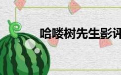 哈喽树先生影评（树先生影评）