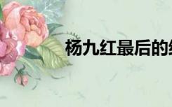 杨九红最后的结局（杨九红）