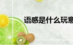 语感是什么玩意（语感是什么）