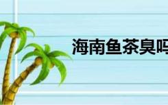 海南鱼茶臭吗（海南鱼茶）