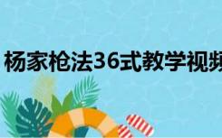 杨家枪法36式教学视频分解动作（杨家枪法）