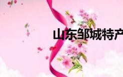 山东邹城特产（山东邹城）