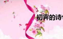 初霁的诗句（初霁）