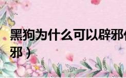 黑狗为什么可以辟邪化煞（黑狗为什么可以辟邪）