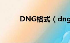 DNG格式（dng格式转换成jpg）