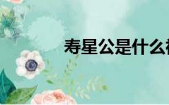 寿星公是什么神仙（寿星公）