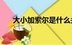 大小加索尔是什么关系（大小加索尔）