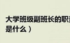 大学班级副班长的职责是什么（副班长的职责是什么）