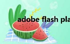 adobe flash player安装包百度云