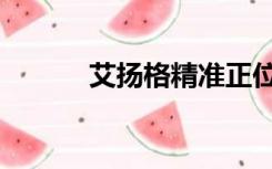 艾扬格精准正位瑜伽（艾扬格）