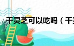 干灵芝可以吃吗（干灵芝怎么吃效果最好）