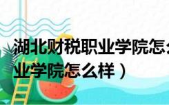 湖北财税职业学院怎么样好不好（湖北财税职业学院怎么样）