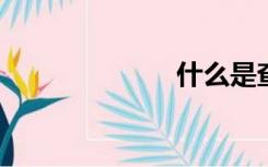 什么是查新报告