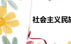 社会主义民族关系的特点