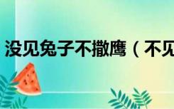没见兔子不撒鹰（不见兔子不撒鹰什么意思）
