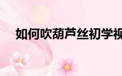 如何吹葫芦丝初学视频（如何吹葫芦丝）