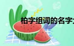 柏字组词的名字大全（柏字组词）