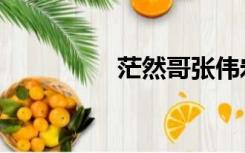 茫然哥张伟宏（茫然哥）