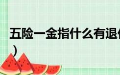 五险一金指什么有退休金吗（五险一金指什么）