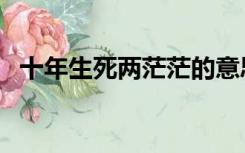 十年生死两茫茫的意思（十年生死两茫茫）