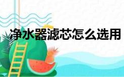 净水器滤芯怎么选用（净水器滤芯怎么选）