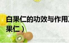 白果仁的功效与作用及禁忌的功效与作用（白果仁）