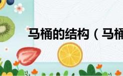 马桶的结构（马桶内部结构是什么）