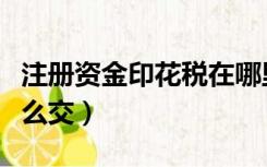注册资金印花税在哪里交（注册资金印花税怎么交）
