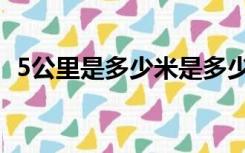 5公里是多少米是多少步（5公里是多少米）