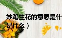 妙笔生花的意思是什么5字（妙笔生花的意思是什么）