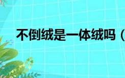 不倒绒是一体绒吗（不倒绒是什么意思）