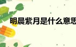 明晨紫月是什么意思（紫月是什么意思）