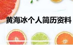 黄海冰个人简历资料（黄海冰的个人资料）