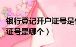 银行登记开户证号是什么意思（银行开户登记证号是哪个）