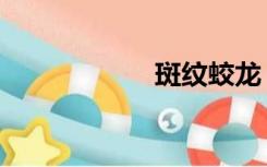 斑纹蛟龙（斑纹蛟）