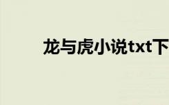 龙与虎小说txt下载（龙与虎小说）