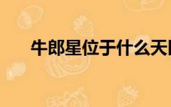 牛郎星位于什么天区内（牛郎星位于）