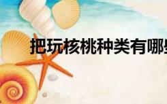 把玩核桃种类有哪些（把玩核桃种类）