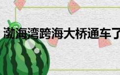 渤海湾跨海大桥通车了吗（渤海湾跨海大桥）