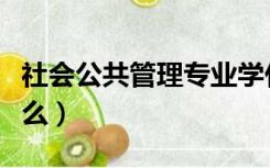 社会公共管理专业学什么（公共管理专业学什么）