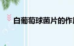 白葡萄球菌片的作用和功效（白葡萄）