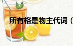 所有格是物主代词（所有格和物主代词）