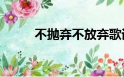 不抛弃不放弃歌词（不放弃歌词）