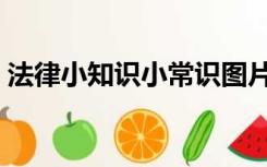 法律小知识小常识图片（法律小知识小常识）